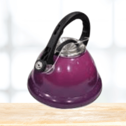 Two Tone Whistling Kettle (3L) - DMC Wholesale