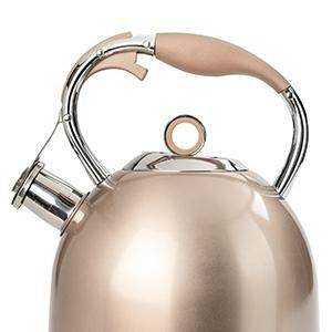 Whistling Stove Top Tea Kettle (3L) - DMC Wholesale