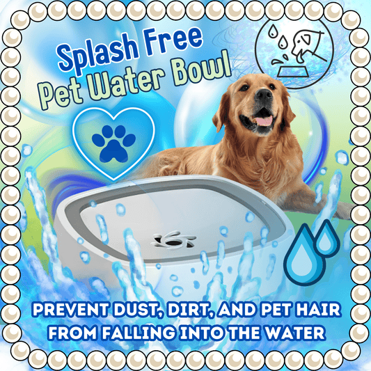 Splash Free Pet Water Bowl - DMC Wholesale
