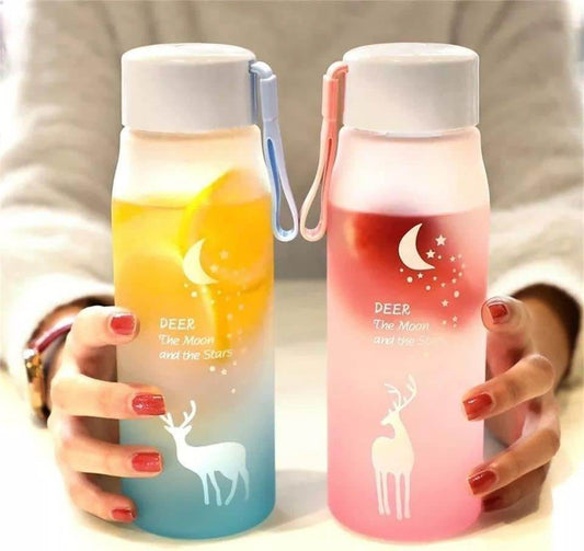 Frosted Water Bottle (600ml)(Colourful) - DMC Wholesale
