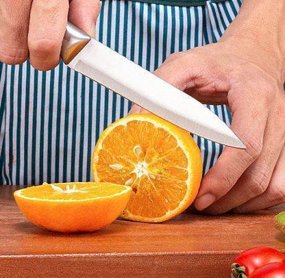 Professional Kitchen Paring Knife (Ultra Sharp Range) - DMC Wholesale