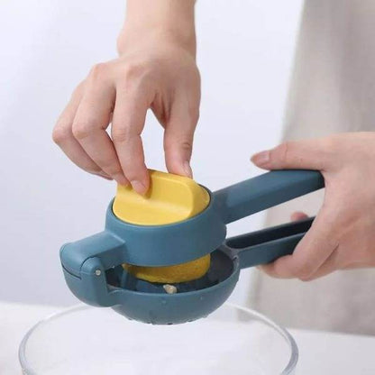 Dual Action Citrus Press - DMC Wholesale