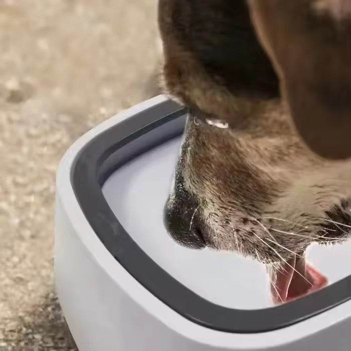 Splash Free Pet Water Bowl - DMC Wholesale