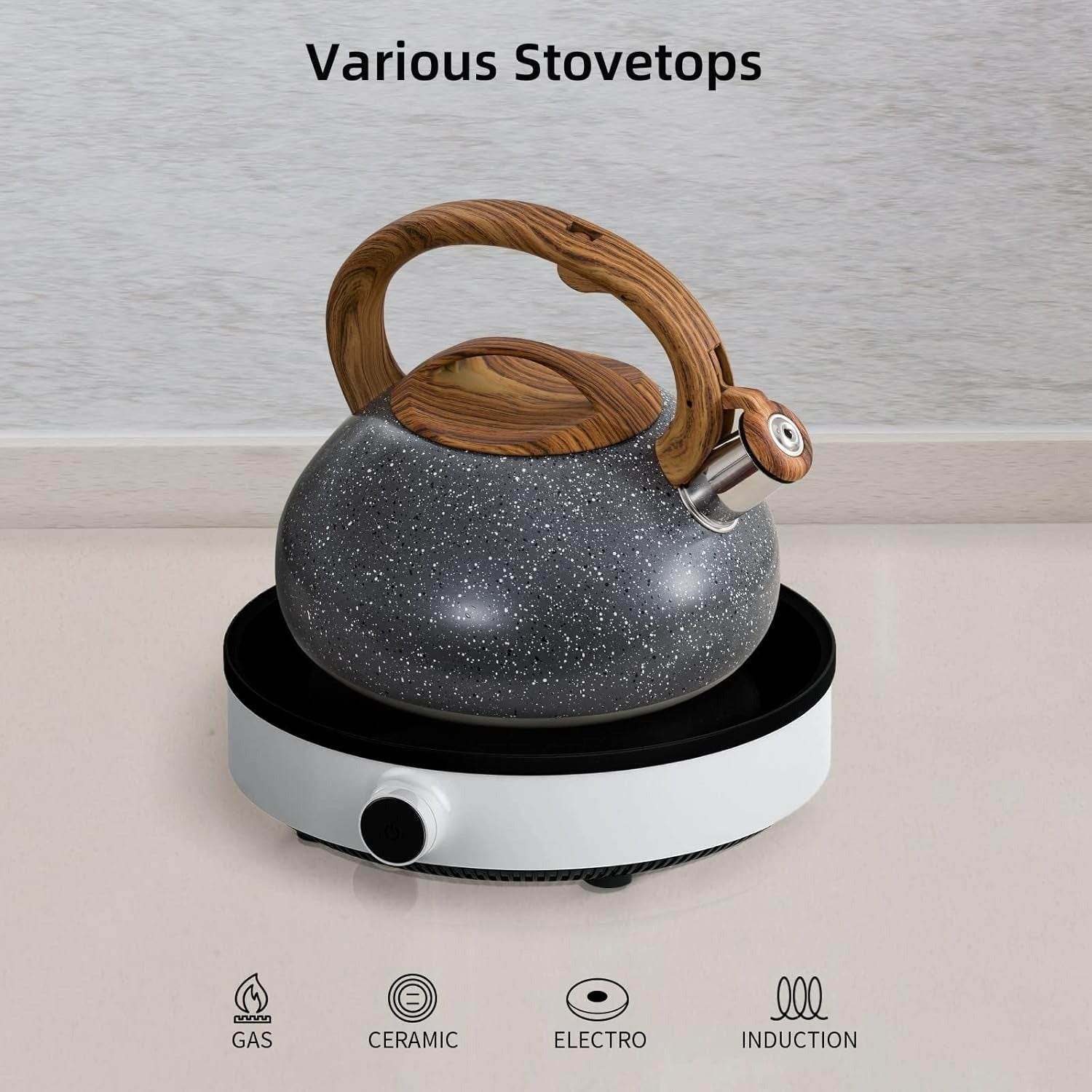 Stainless Steel Stove Top Whistling Kettle - DMC Wholesale