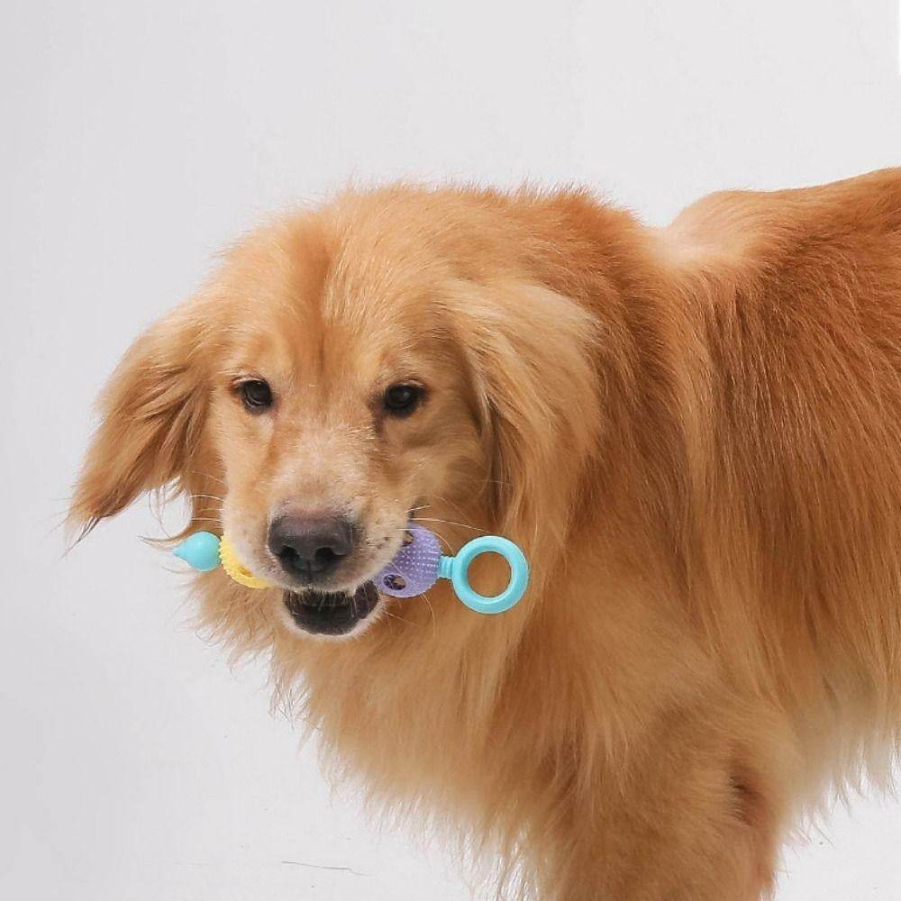 Interactive Dog Tooth Cleaning Massager Stick Toy - DMC Wholesale