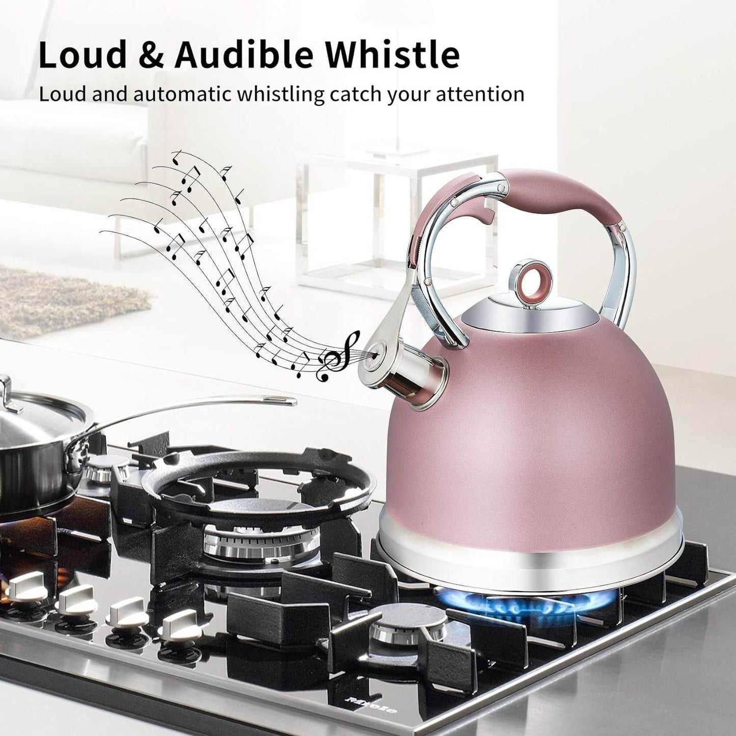 Whistling Stove Top Tea Kettle (3L) - DMC Wholesale