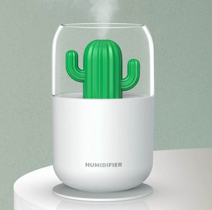 Cactus Humidifier - DMC Wholesale