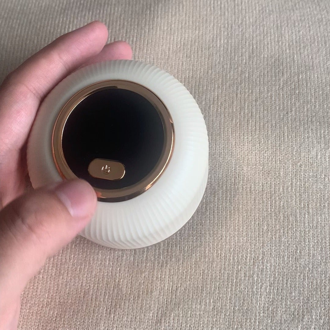 Rechargeable Lint Trimmer