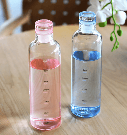 Transparent Motivational Water Bottle (500ml) - DMC Wholesale