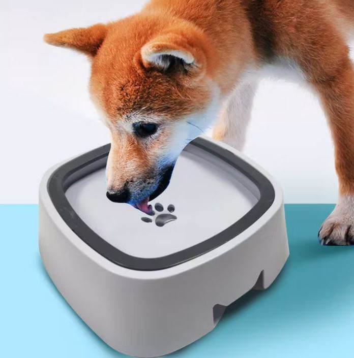 Splash Free Pet Water Bowl - DMC Wholesale
