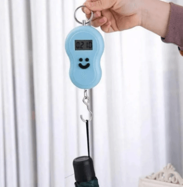 Digital Fishing Hanging Hook Scale - DMC Wholesale