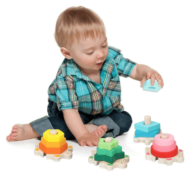 Turtle Shape Sorter Toy - DMC Wholesale