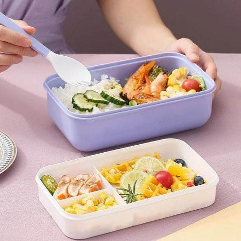 Microwaveable Lunch Box (Double Layer)