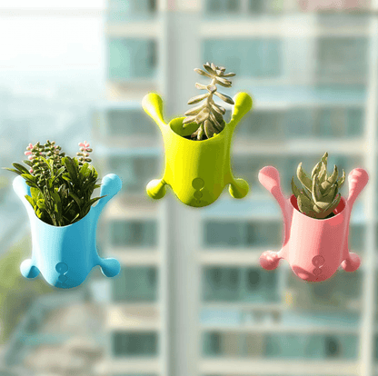 Multiple Suction Cup Wall Mounted Holder - DMC Wholesale