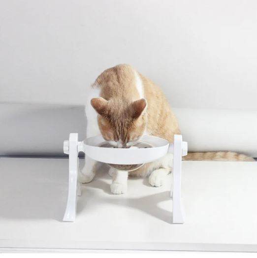 Multipurpose Pets Bowl - DMC Wholesale