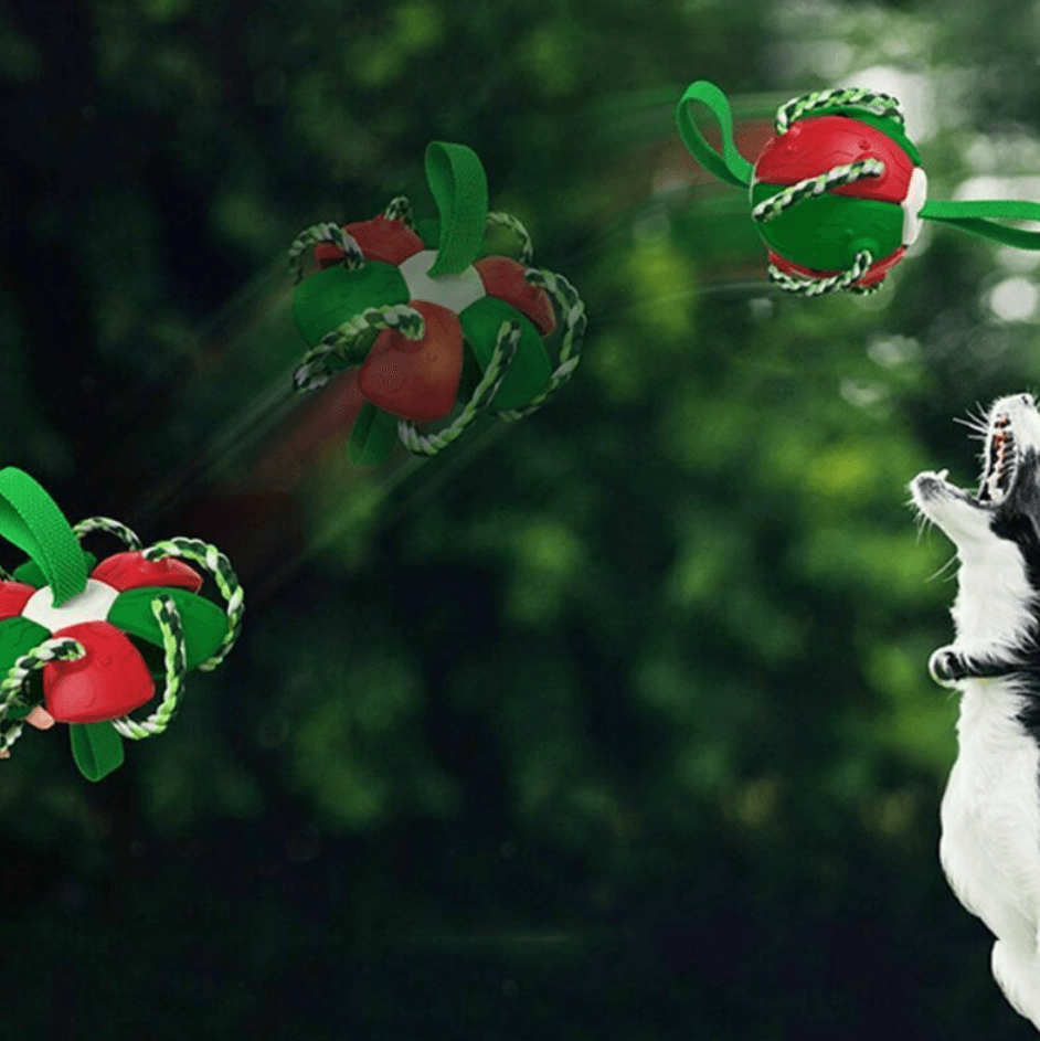 Dog Chew Flying Rebound Training Ball - DMC Wholesale