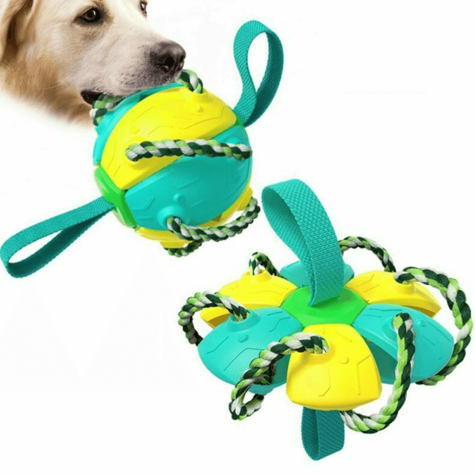 Dog Chew Flying Rebound Training Ball - DMC Wholesale