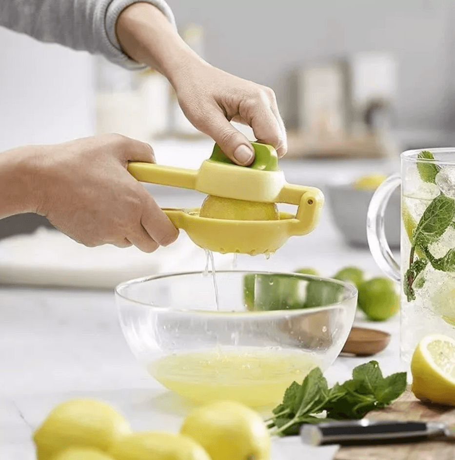 Dual Action Citrus Press - DMC Wholesale